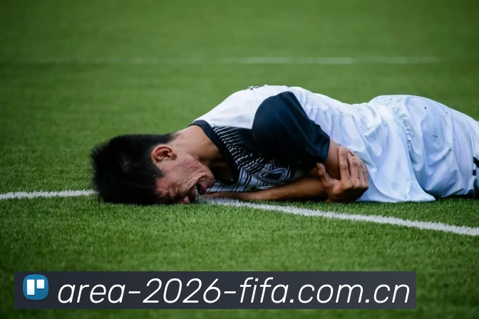 2026世界杯官方视觉